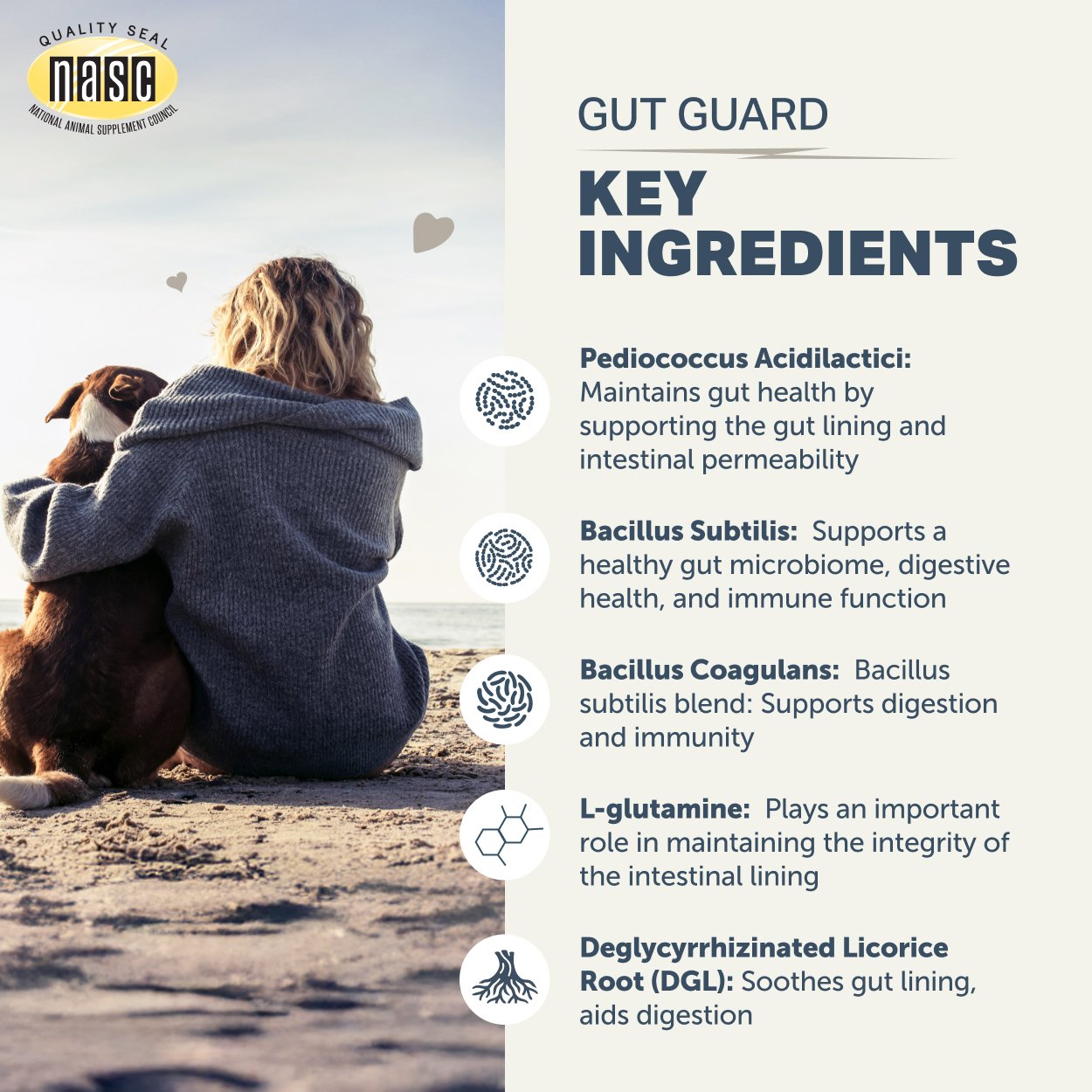 GGuard3