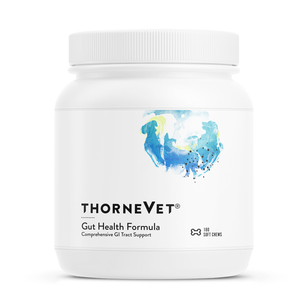 Guthealthchew1 Gut Health Formula Soft Chews